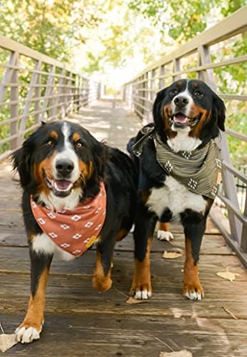 Дрехи за домашни любимци Willow Creek, шарена Кърпа-Шал за Кучета и Кученца | Уестърн, 4 опаковка | Двупластова Здрав плат | Сладък и