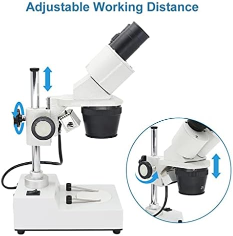 JRDHGRK Бинокъла на стереомикроскоп Промишлен стереомикроскоп Горната led светлини Инструмент за ремонт на спояване на печатни платки