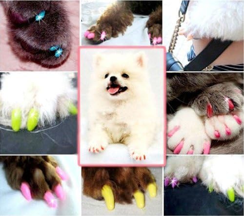 Капачки за нокти с меки нокти за домашни кучета Малки по размер, блестящо зелен цвят (40шт капачки за нокти, 2 туби лепило с инструкциите