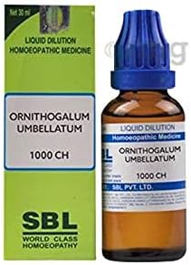 SBL Ornithogalum Umbellatum Отглеждане на 1000 ч.