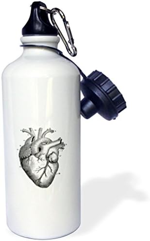 Спортна бутилка за вода 3dRose Ретро скица на човешкото сърце, 21 унция, Бяла