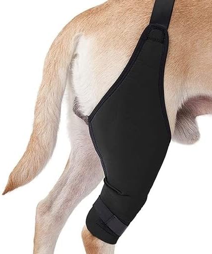 Бандаж за краката на кучето / Бандаж за задната част на краката си куче / Наколенник за кучета / Поддръжка травма ACL / Луксация на пателата