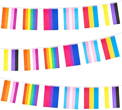 60 Знамена 66 Фута ЛГБТ Pride Преливащи Знамена Банер, ЛГБТ Овесени ядки Флаг Гей Гордост ЛГБТ Декорация на Партита Месец Гордост Украса