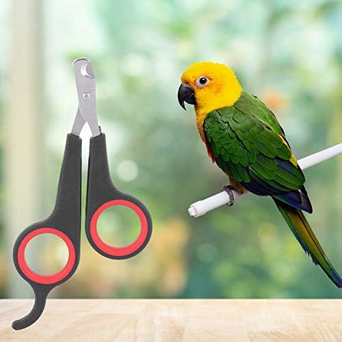 Yosoo Health Gear Птичи Ножица За Нокти, Ножица За нокти На Птици От Неръждаема Стомана, Котешки нокторезачки и Машинка за Нокти, аксесоари